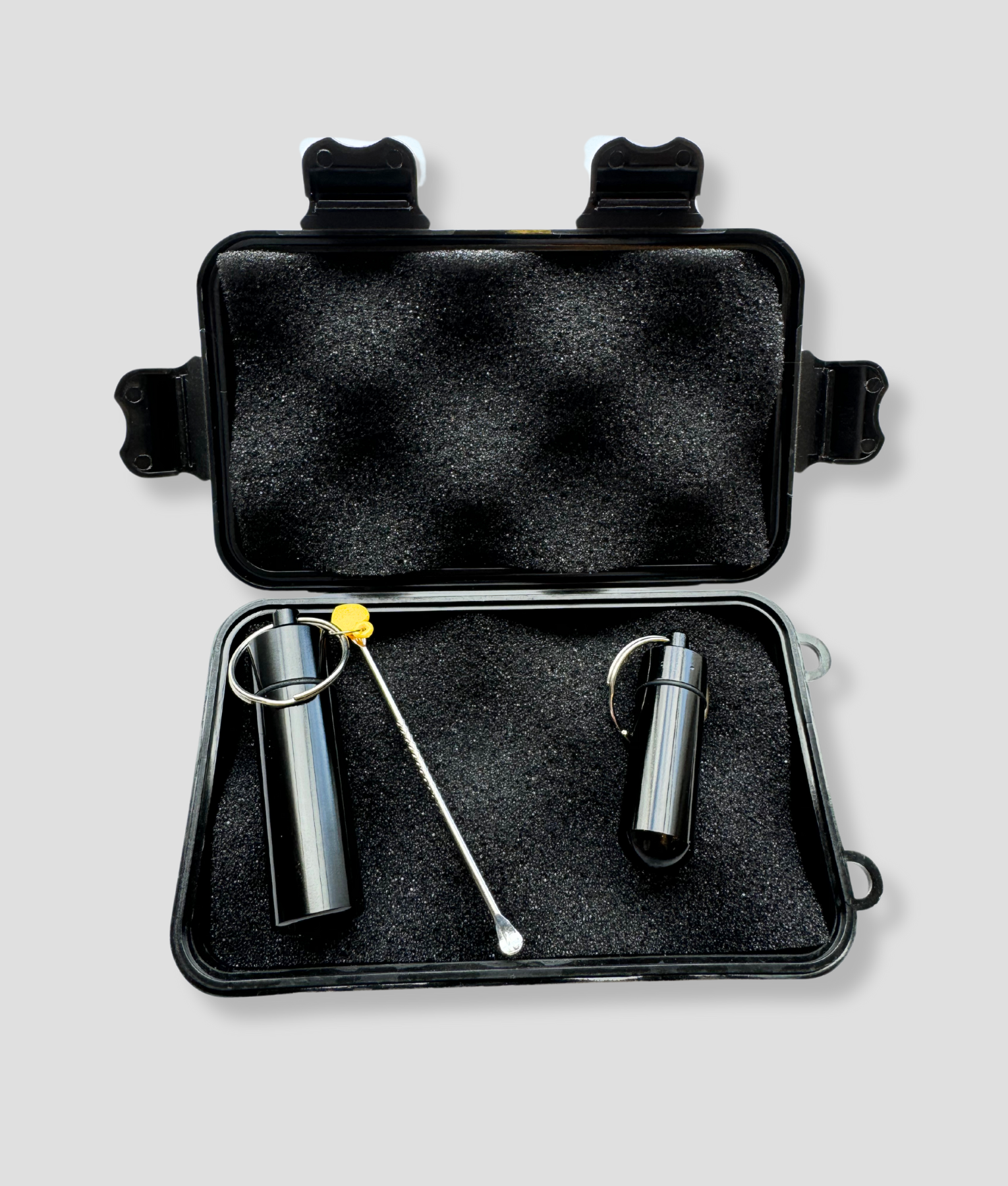 Snort Artikel Snort Artikel