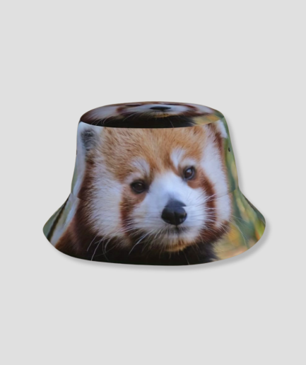 Waschbär oder so etwas