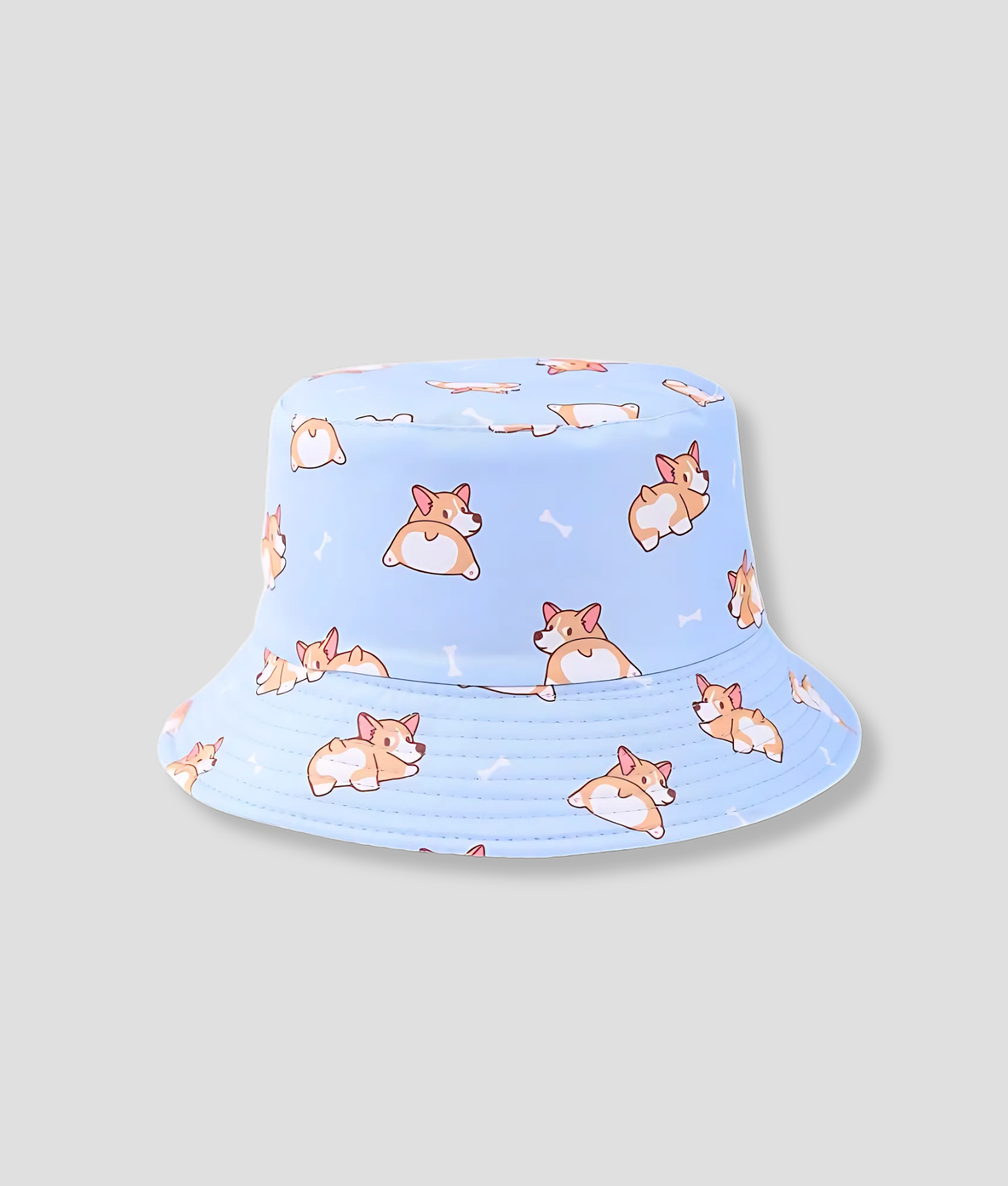 doggy hoedje pastel blauw