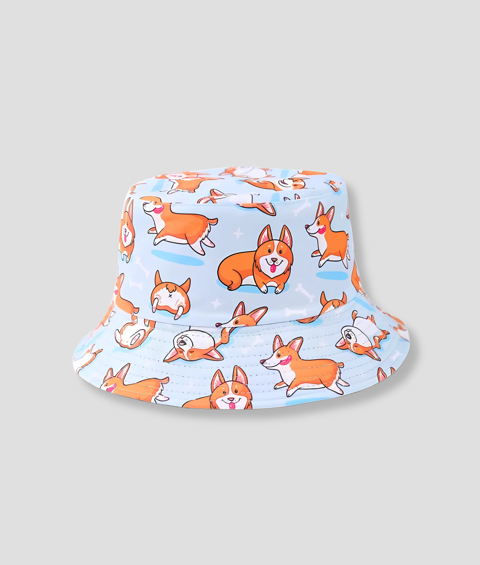 hoedje met lief hondje