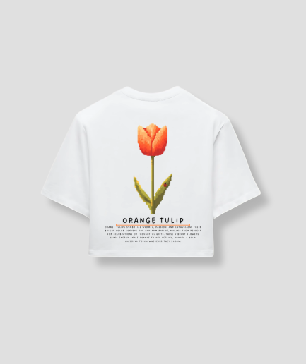 Croptop-orange-tulpe.png