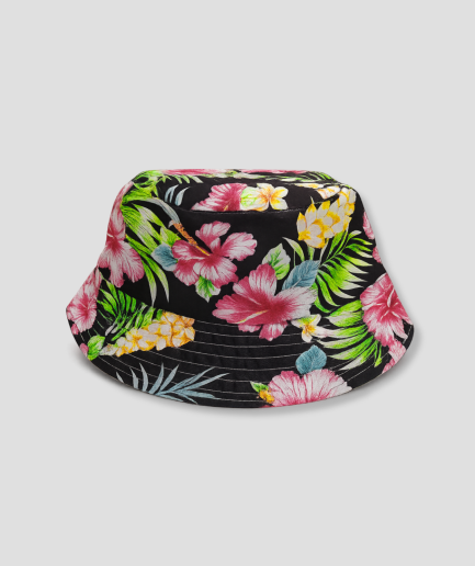 hawai-hut-fischer.png