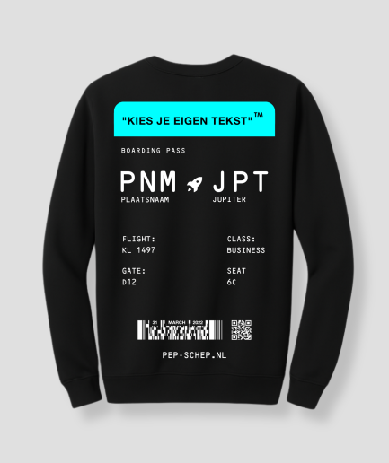 Pullover-Techno-Hardcore.png
